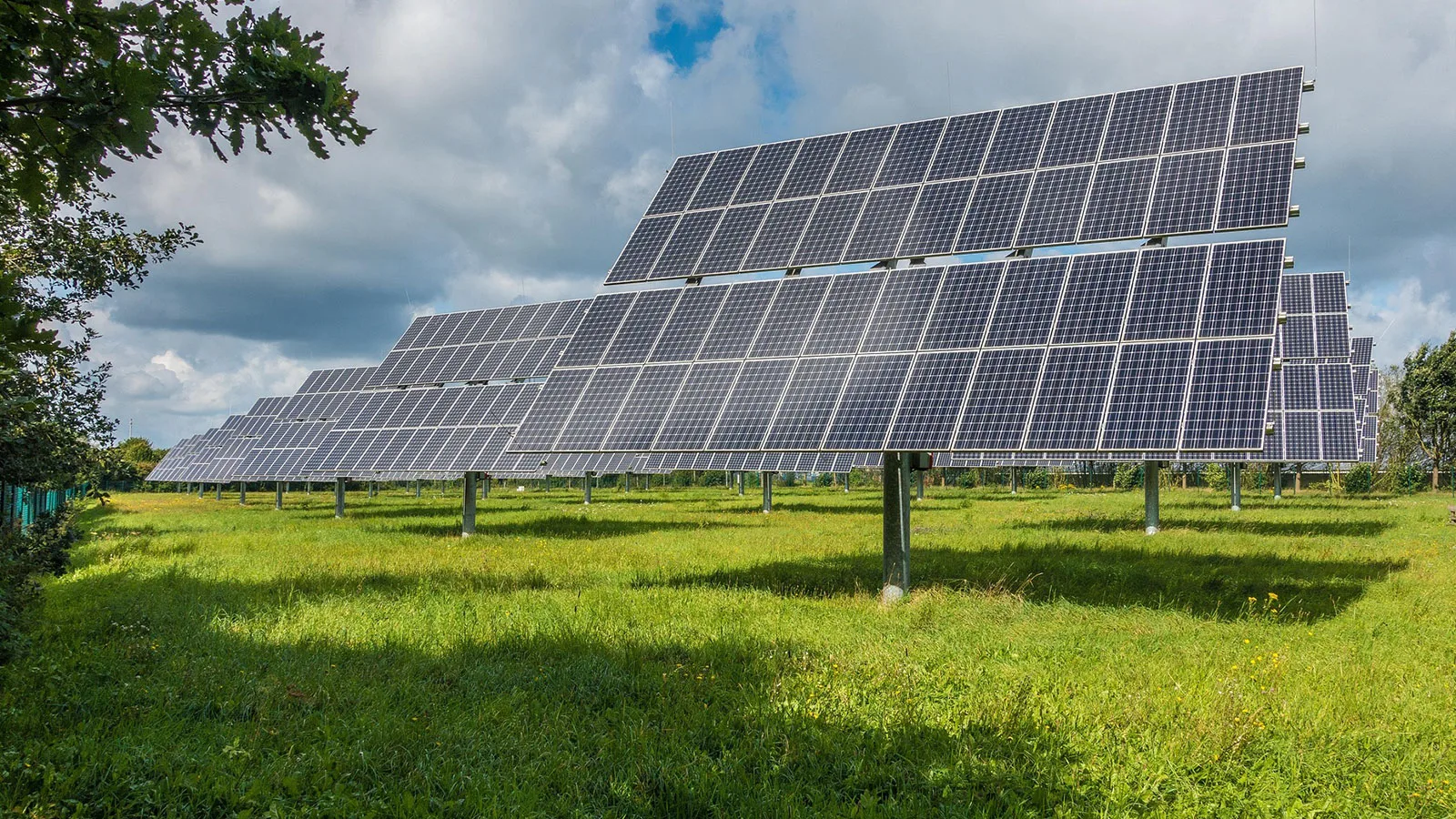Fortune Star Embeds Sustainability into Global OEM/ODM